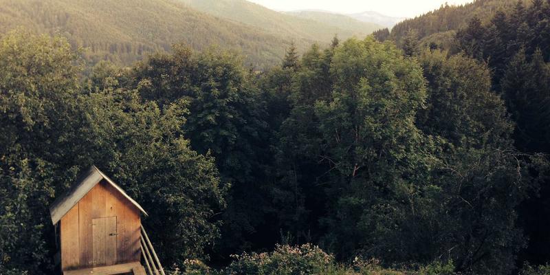 Agent Casinos 40：在线娱乐与投注的融合新体验