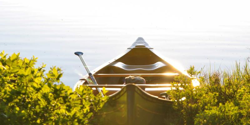 Agent Casinos69:您的娱乐指南与权威赌场名单评测