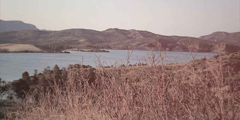 Agent Casinos 81:在线娱乐场如何重塑数字时代的娱乐与博弈体验