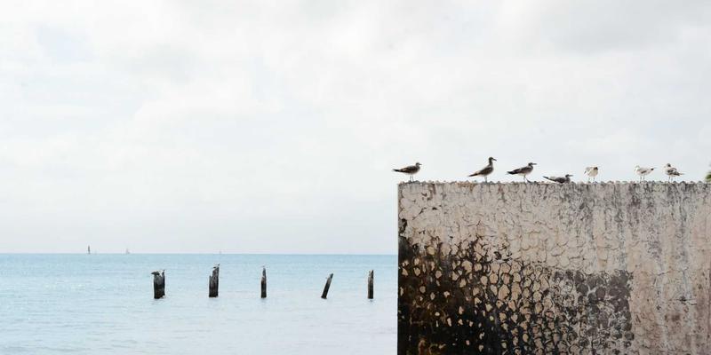 Agent Casinos vs. Traditional Online Casinos: A Comprehensive Comparison for Modern Gamblers