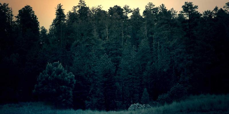 Agent Casinos推荐:探索顶尖投注平台,开启高品质娱乐体验