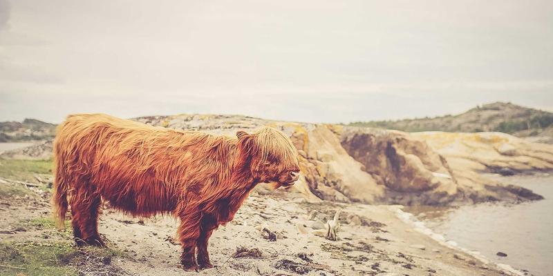 Agent Casinos：连接玩家与顶级在线娱乐的桥梁