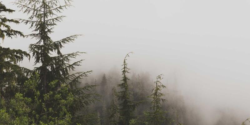 Agent Casino客户服务卓越指南：构建7/24多语种支持与危机公关体系，提升玩家信任与平台声誉