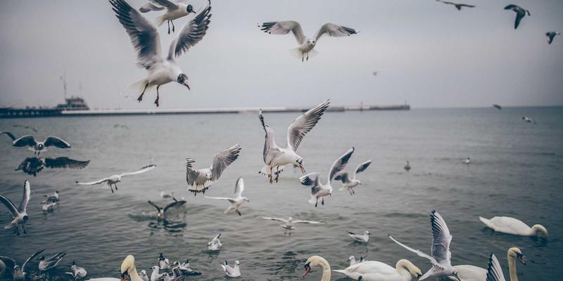 Agent Casino平台技术架构深度解析：如何构建高并发、低延迟的现代博彩娱乐系统