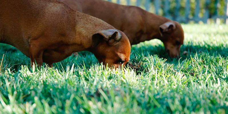 Agent Casino支付网关集成：多币种支持、快速出金与反洗钱合规实践