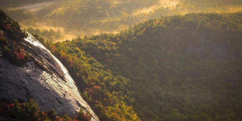 Agent Casino玩家生命周期管理：从精准获取到深度留存的全流程策略