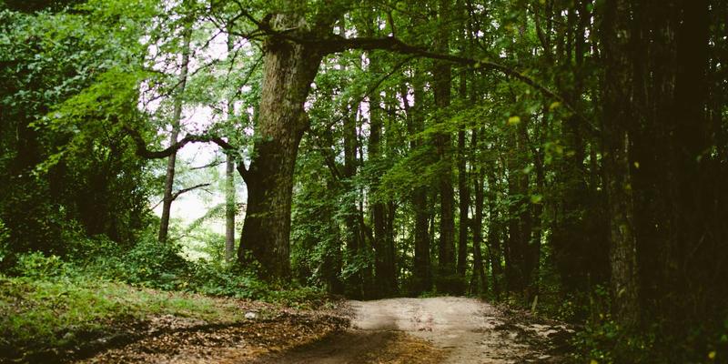 从零到一：Agent Casino代理商启动资金预算与财务规划全攻略